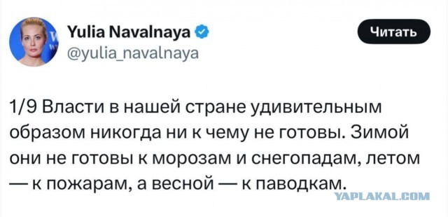 Избавился от соседей и в тишине теперь чилит