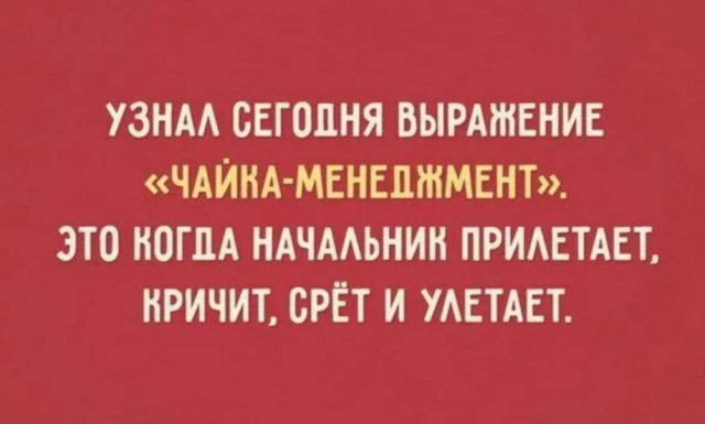 Молодцы детки!