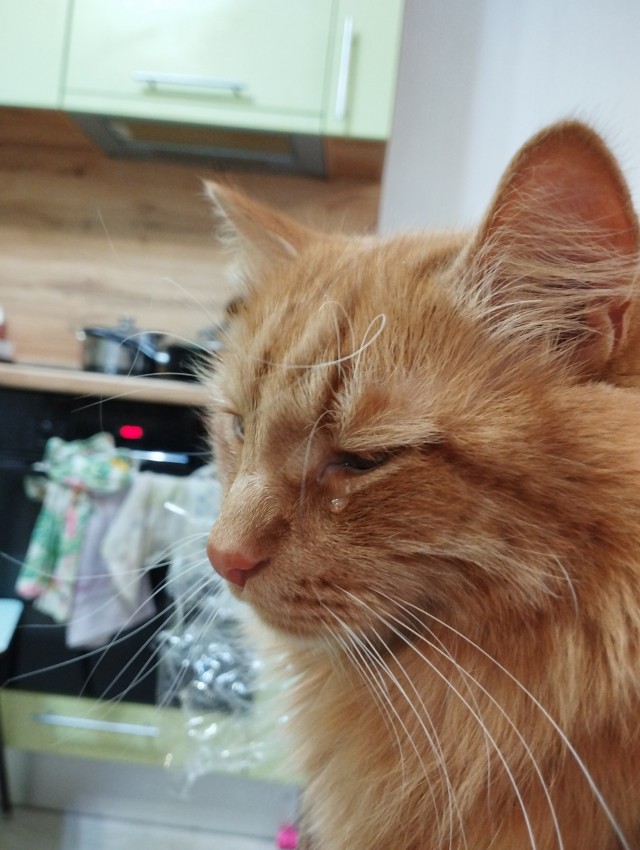 Не вторник, но все же.