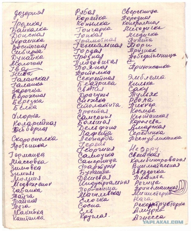 Клички КРС . БССР. 1960-е года