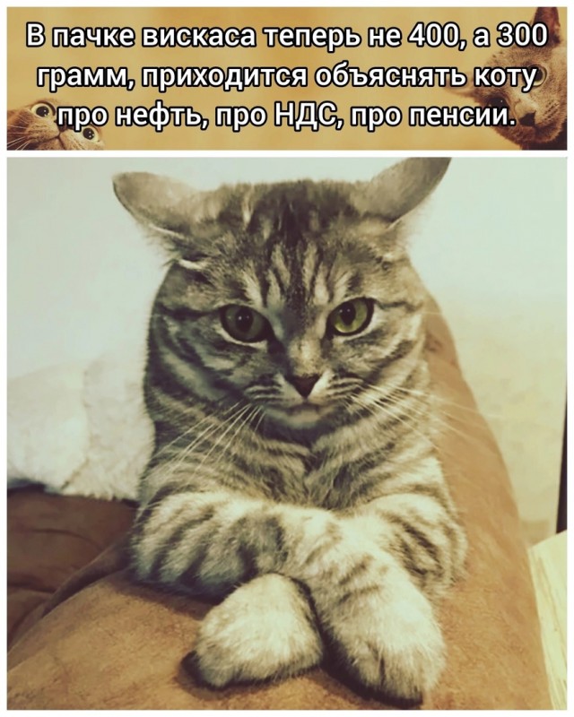 Так себе картинки 22.05.25