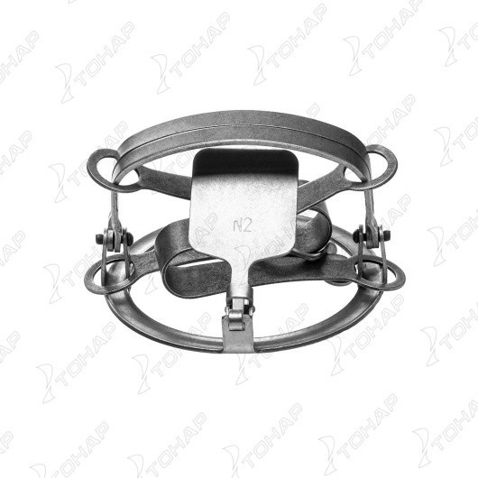 Новый капкан ФНС — про отчеты о переводах денег с использованием иностранных кошельков: Payoneer, Wise, Revolut, Pay Pal