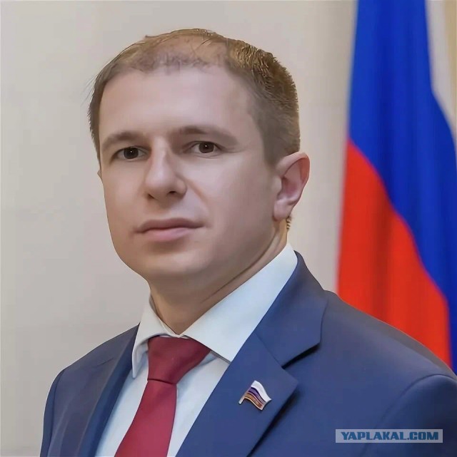 «Пикачу, я c тобой хочу ...» Депутат Госдумы Михаил Романов предложил включить песни певицы Mia Boyka в школьную программу