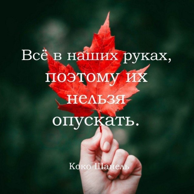 Прикольные и просто красивые картинки 31.10.2025