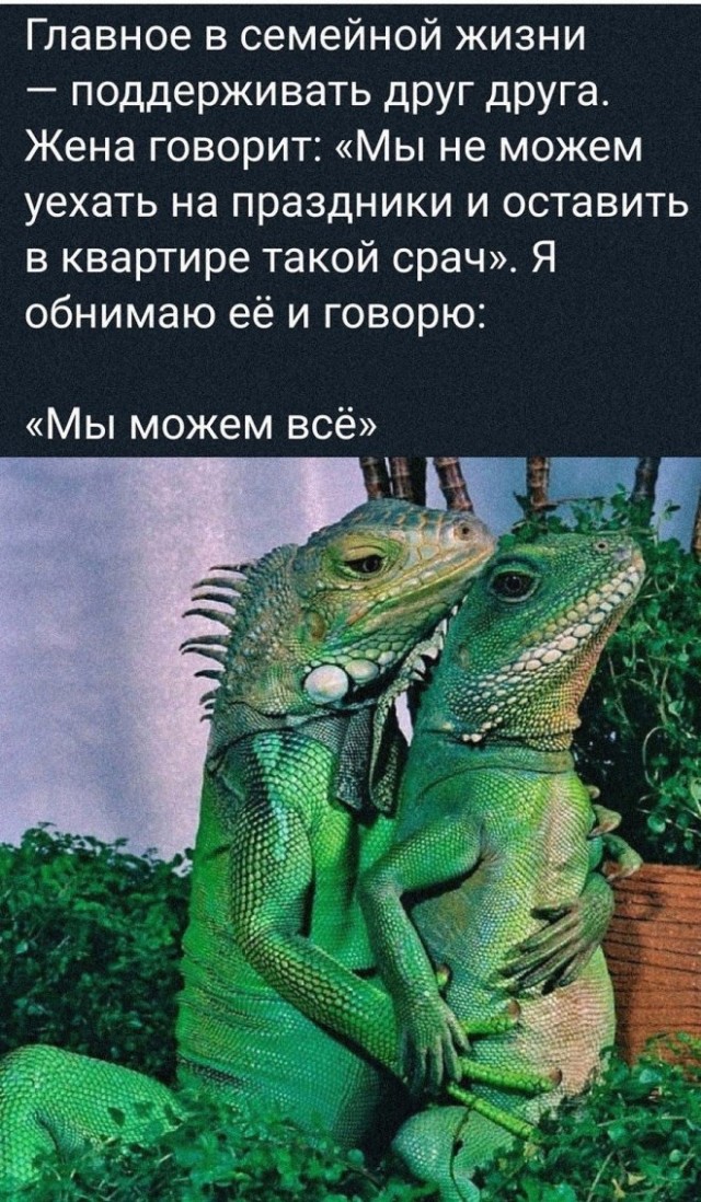 Картиночки, баянчики 24 января