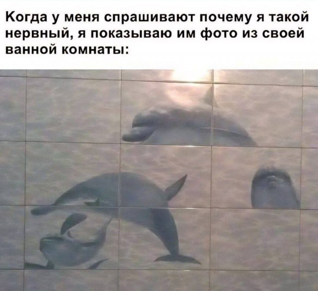 Картинки для деградации 151 (разной степени свежести)