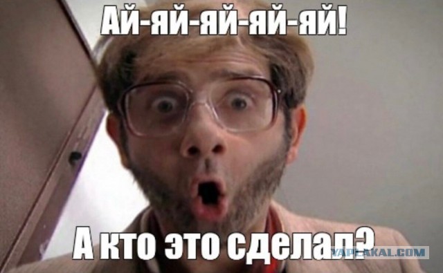Мизулина сообщила о проблемах с доступом в интернет