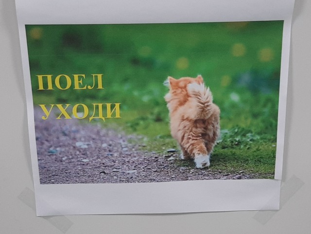 Обеденный перерыв!