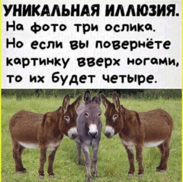 Пятничные тРРРидцать тРРРи от 29 мая