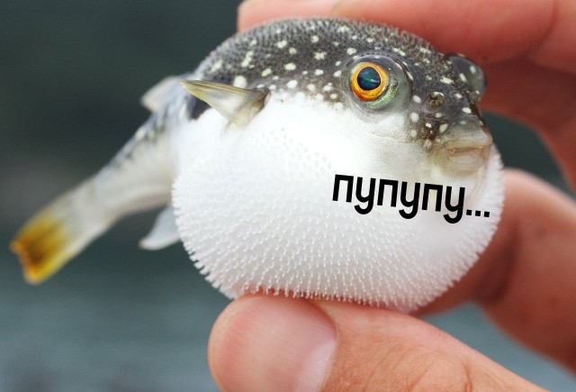 Познакомился бы с такой "булочкой"?
