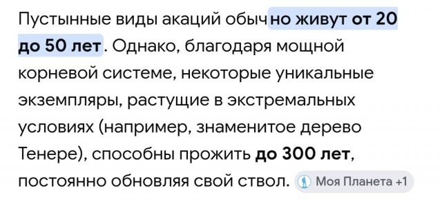 Самое одинокое дерево на Земле убил пьяный водитель.