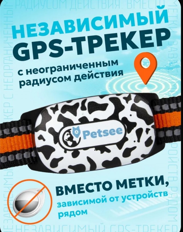 Сбежал кот!