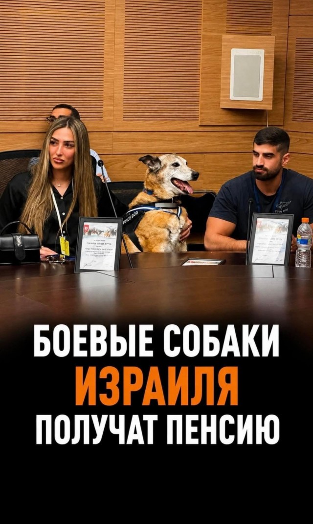 Сабакочетверг: Веном, охотница на воров и нелегалов