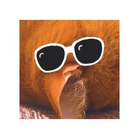 Рыжий