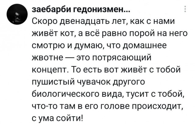 Картинки на среду