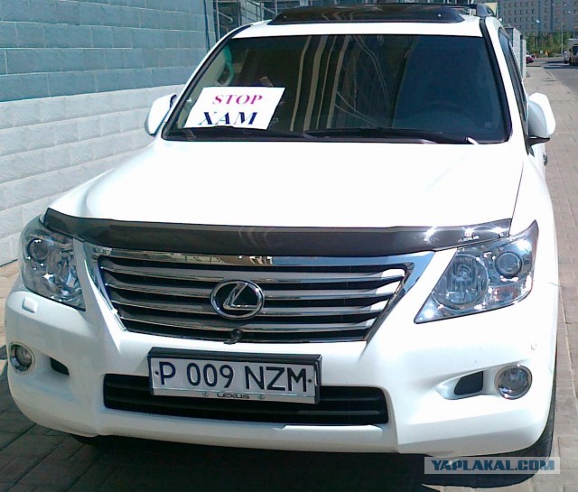 СтопХам 103 - Женщина шум