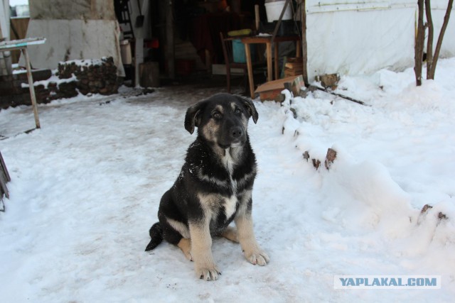 Беседка скромная и необычная...