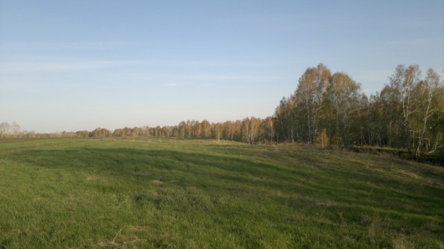 Немного о лете.