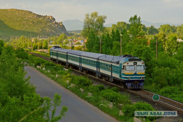 Победители фотоконкурса