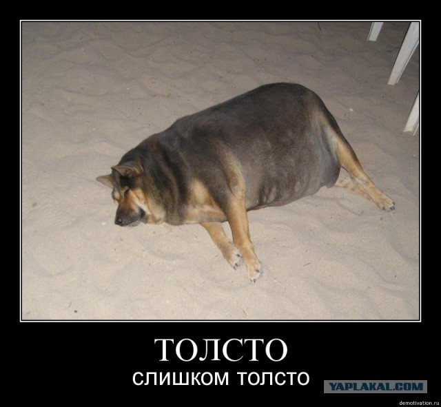 Микола, ну шо там?)