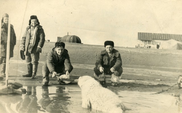 Россия приступила к строительству военного городка