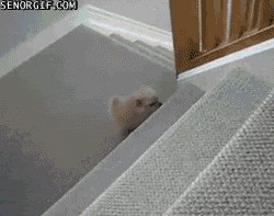 И никак не догнать