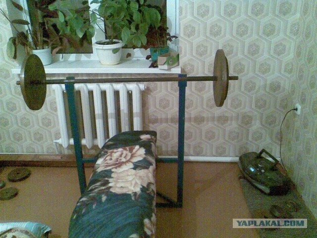 Посадил лимон...