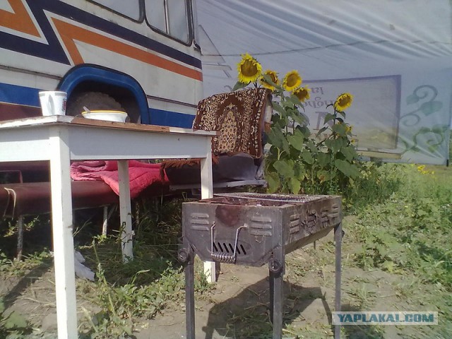 Эта пара бросила работу