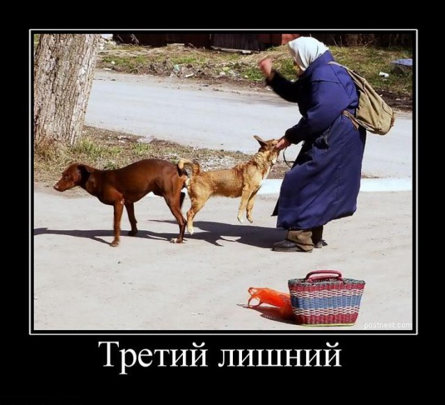 Картинки разные