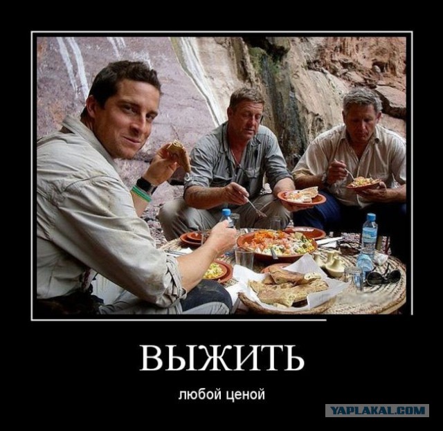 Подборка демотиваторов