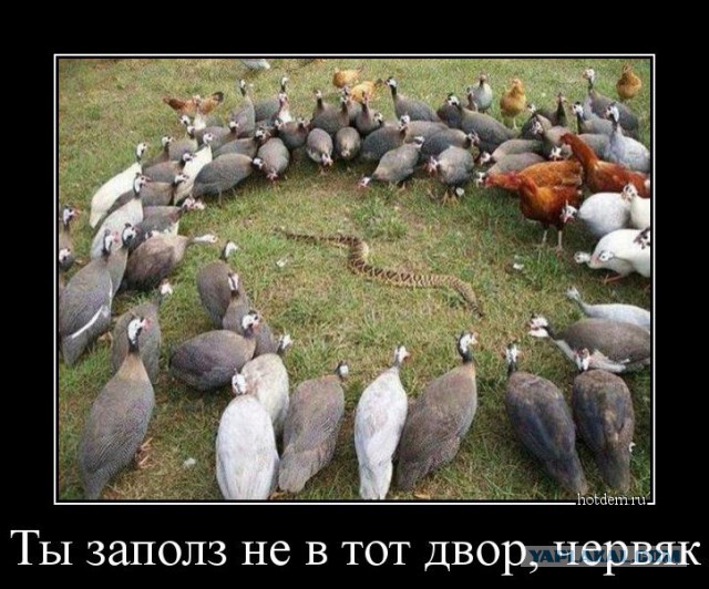 Очередная порция картинок с буквами на черном фоне