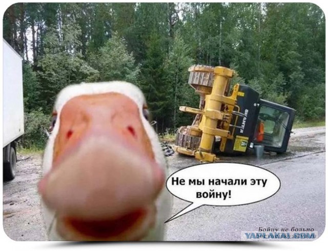 Весёлые картинки