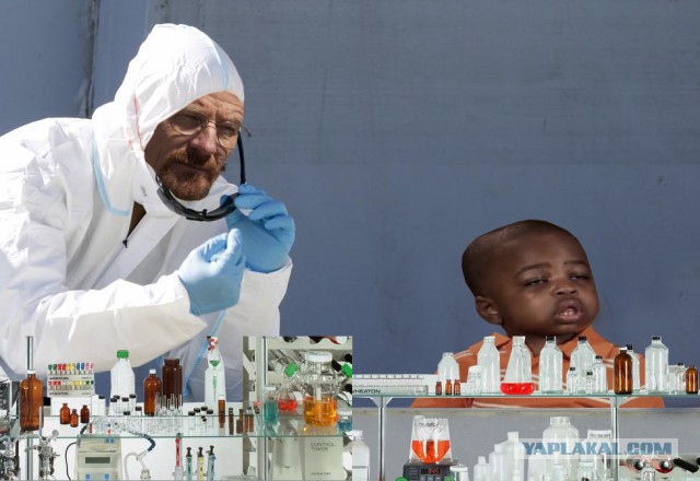 Фотожаба "Ох уж эти исследования"