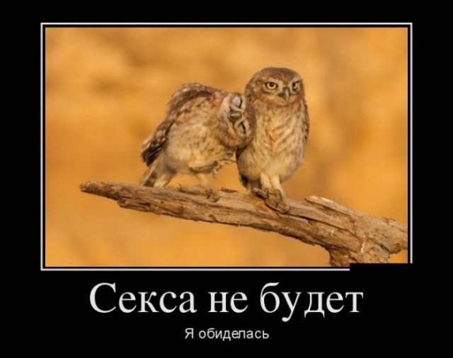Картинки с надписями