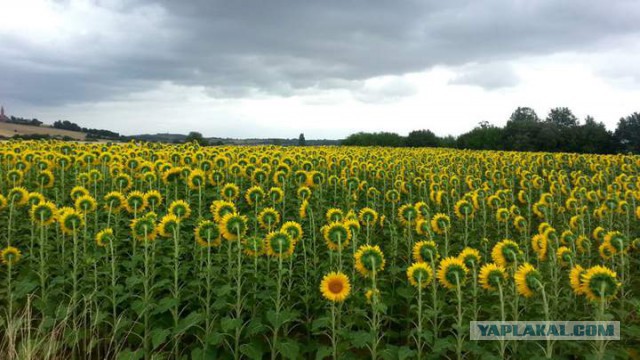 Интересные и веселые картинки