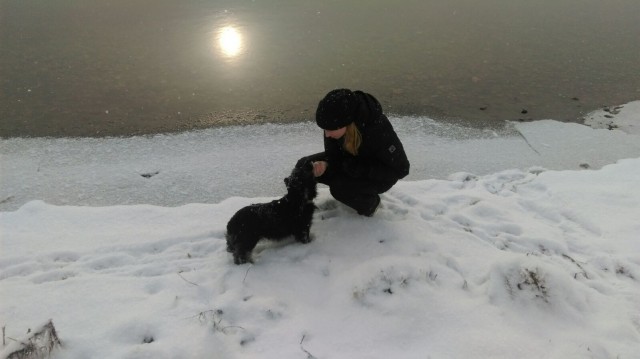 Верный друг охотника