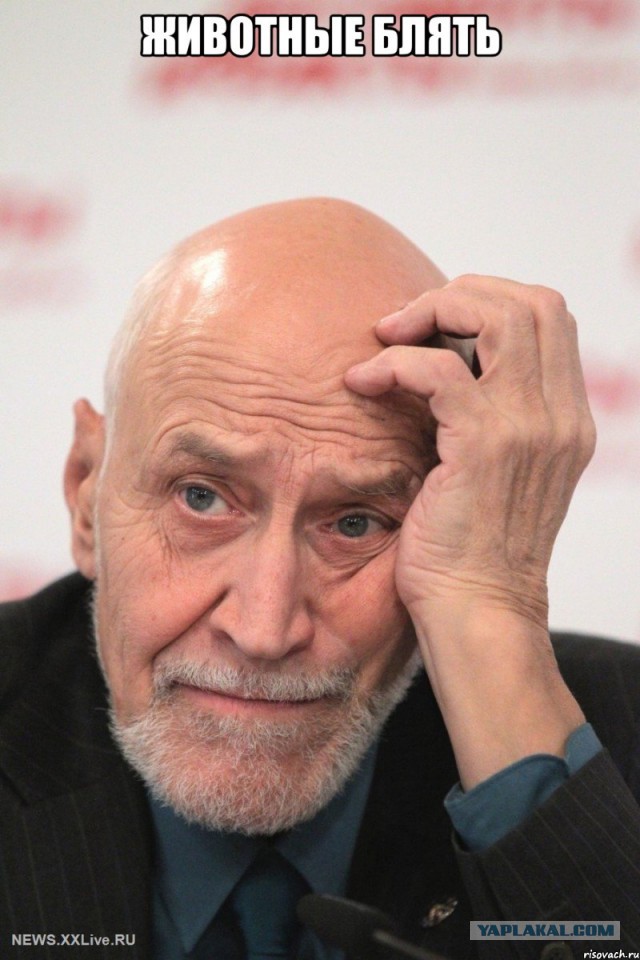 Адский тверк без прелюдий и условностей