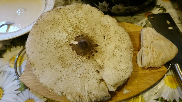 Кухня (кулинарное и околокулинарное общение)