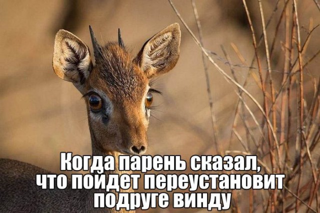Подборка картинок
