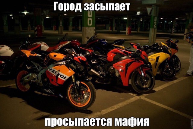 Подборка безудержного веселья