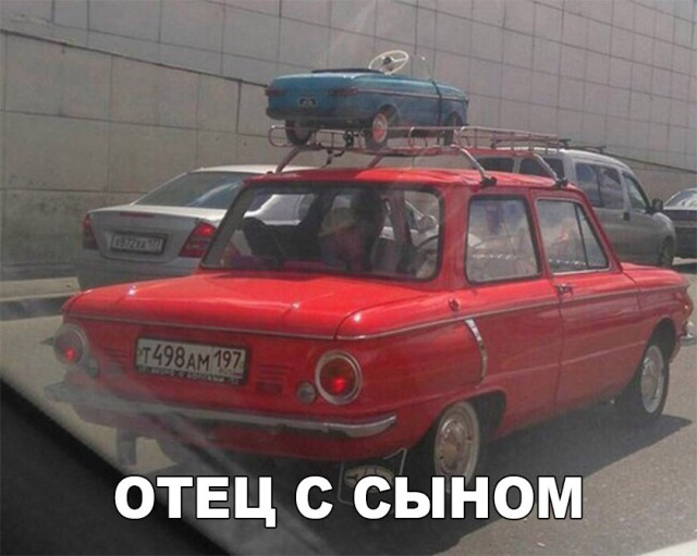 Подборка безудержного веселья