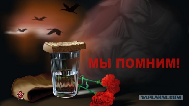 6 лет со дня убийства Юрия Буданова
