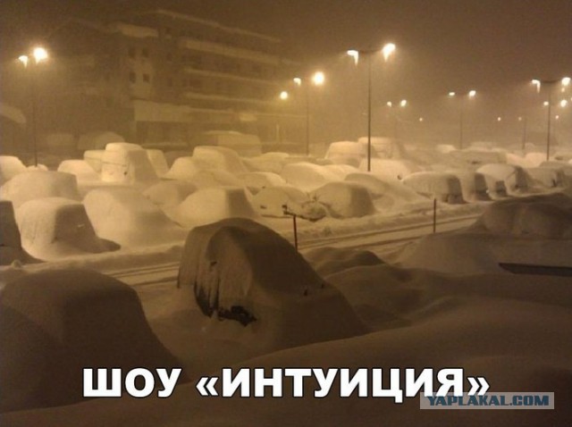 Ну что, москвичи, жалуетесь на снежок? А теперь посмотрите за МКАД!
