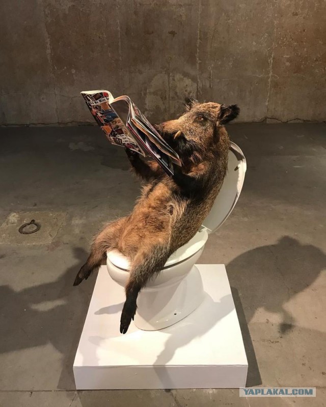 Человек эпохи разложения