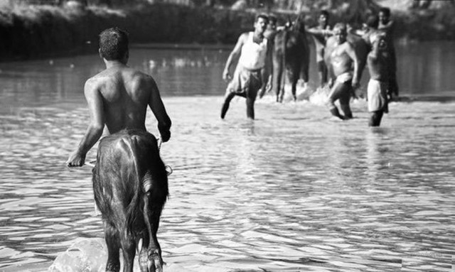 35 фотографий, которые докажут, в каком интересном мире мы живем
