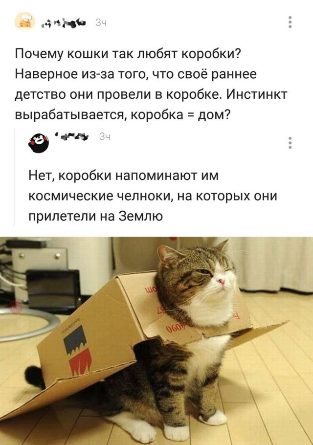 Прикольные картинки абавсём