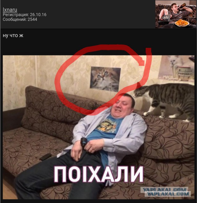 И снова суббота, и снова пора разбавить её скушноту колхозным гламуром