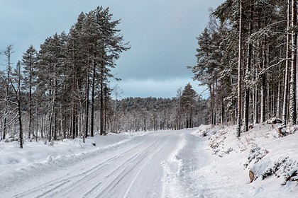 Высаженный друзьями из машины парень замерз насмерть