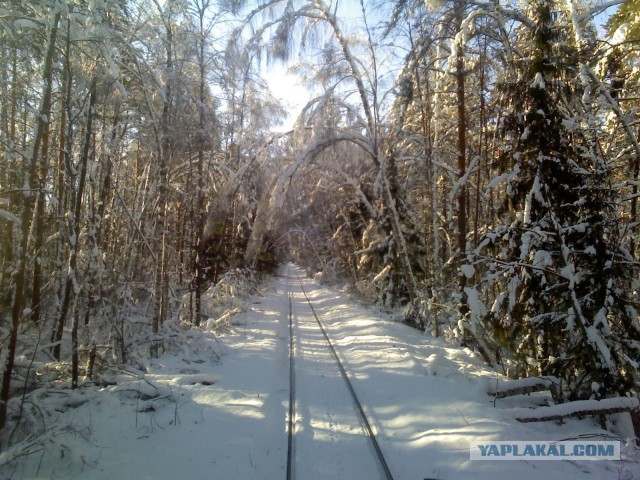 Зимняя железная дорога