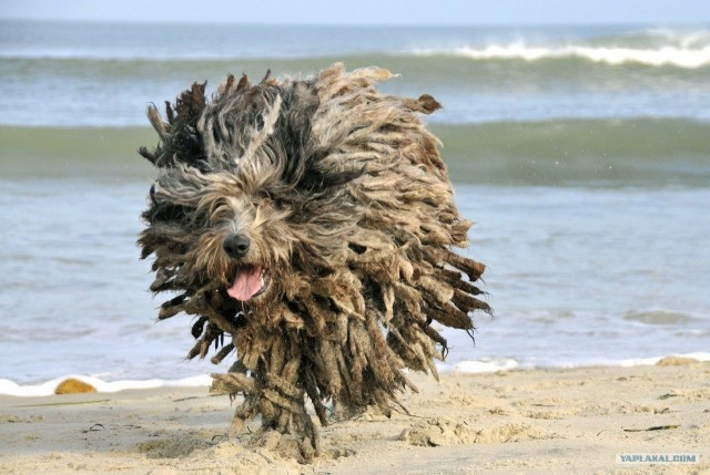 Слушаю вас внимательно!